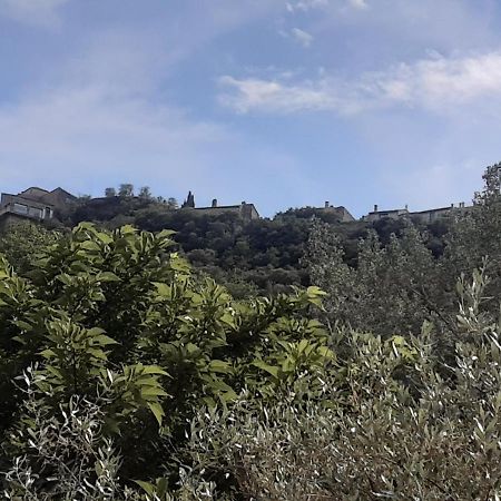 Apartamento Le Chemin De Bruniele Aubres Exterior foto
